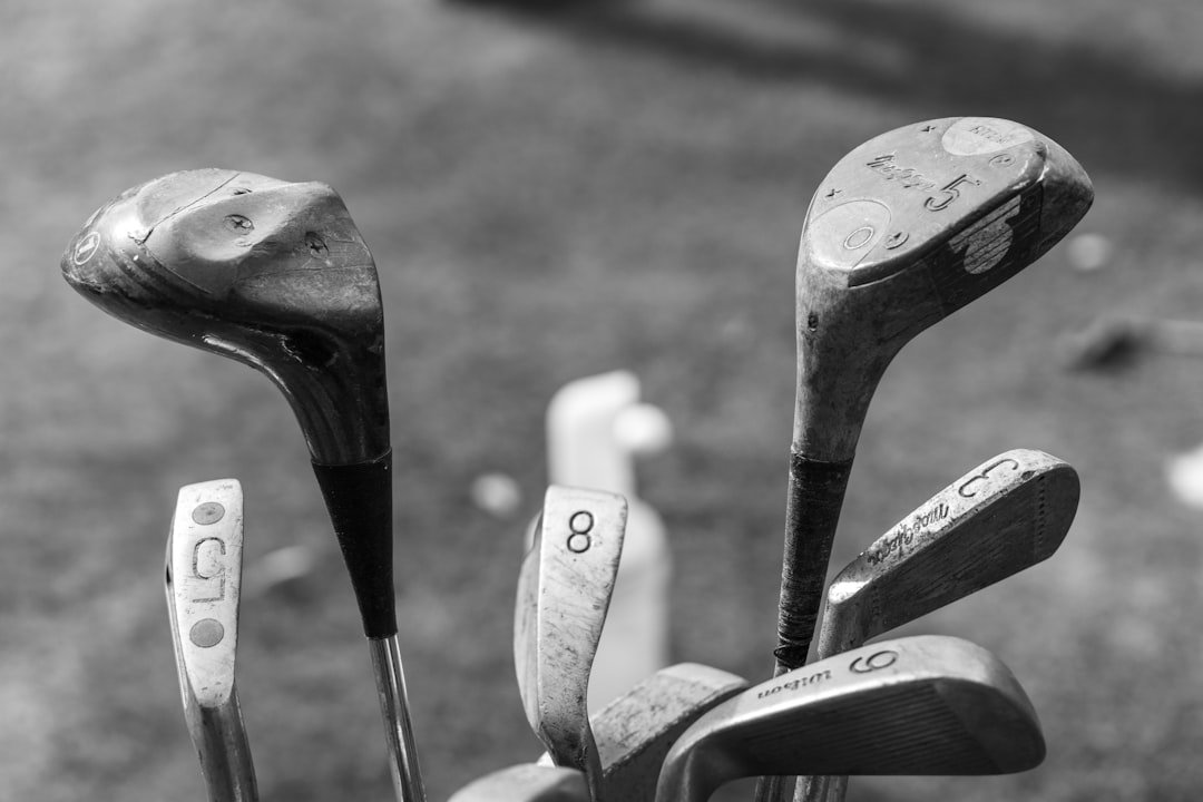 Vintage golf clubs packed together in a golf bag.
